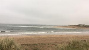 40367d6e-5f20-4a81-a264-c78f1973dd37