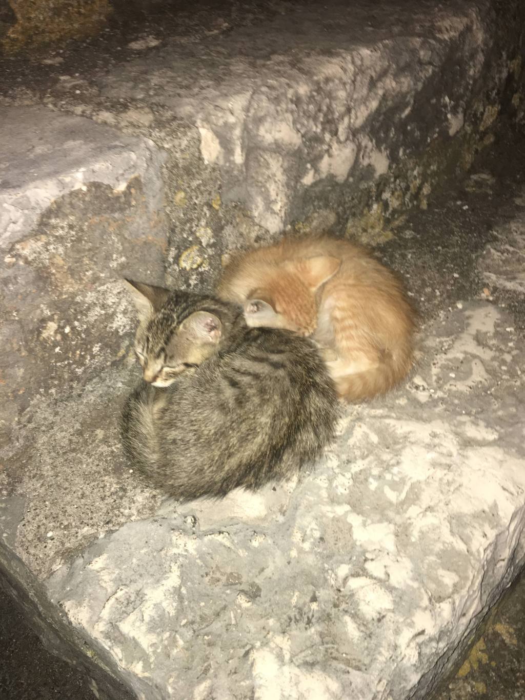 Italy Day 4