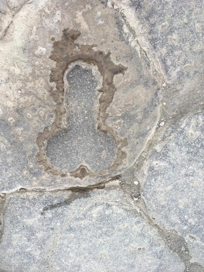 WhatsApp Image 2018-10-27 at 21.58.40