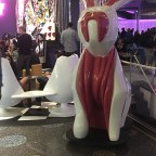 Vagina Rabbit And Race Prep Ice Cream