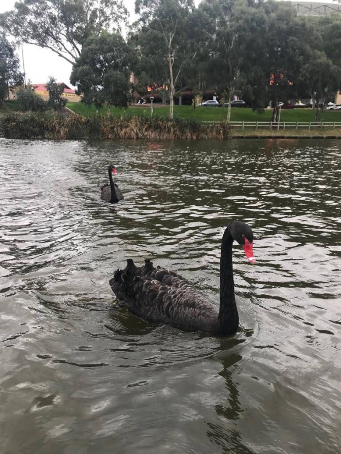 7f03954e-e929-4d6e-b220-178225fe49a3