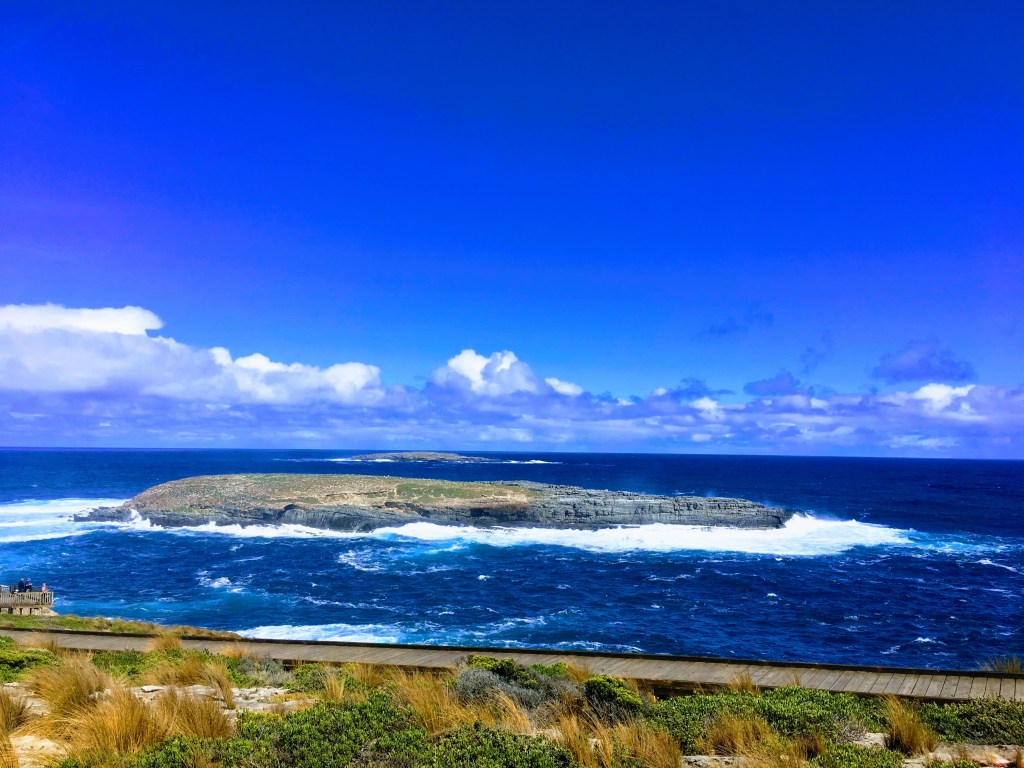 The very best of Kangaroo Island (and maybe the world)