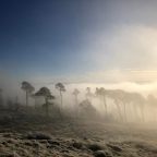 Chicken Soup For The Soul