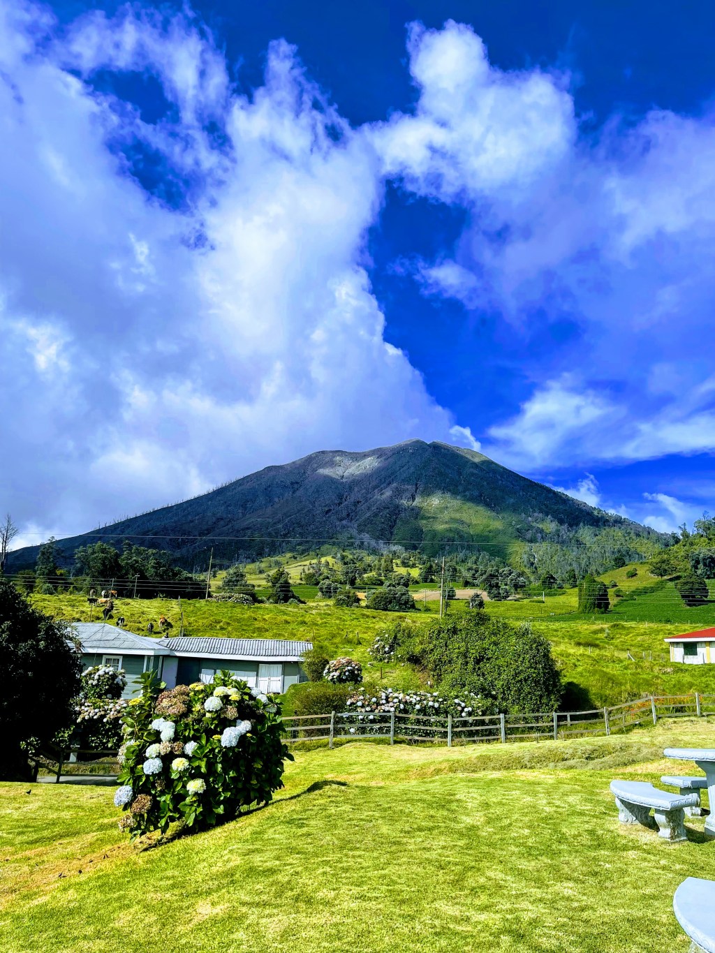 Day 9 In Costa Rica – A football match, boorish behaviour and making friends in the clouds.